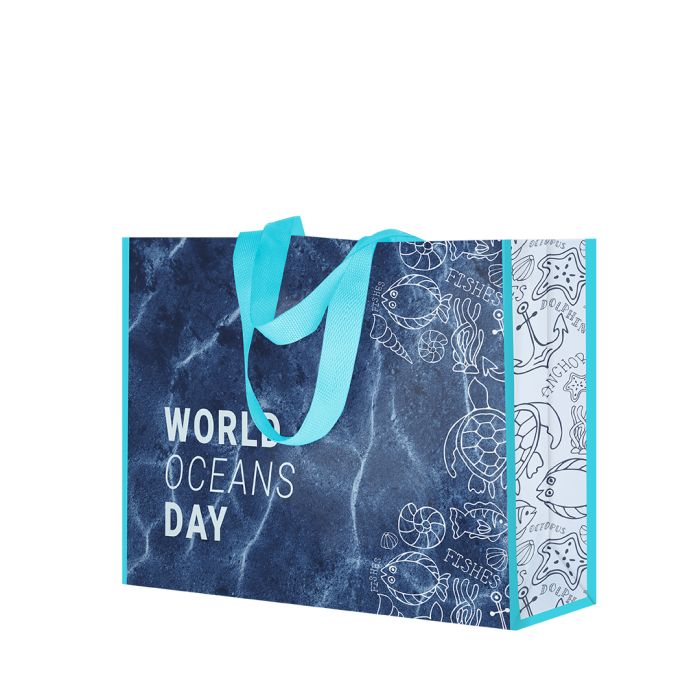 Bolsa Compra 42 x 32 + 16 cm