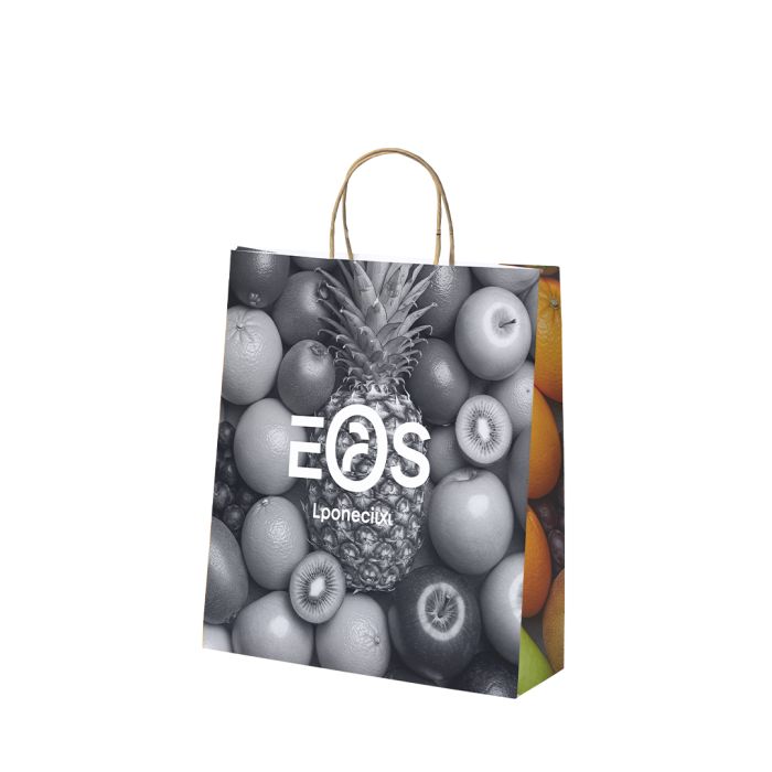 Bolsa Papel 100 g/m² Asas Torcidas 22 x 23 + 9 cm