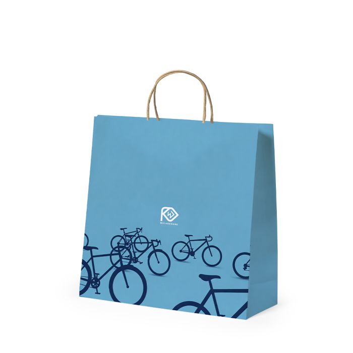 Bolsa Papel 100 g/m² Asas Torcidas 27 x 26 + 14 cm