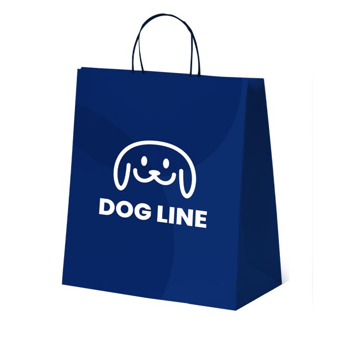 Bolsa Papel 100 g/m² Asas Torcidas 37 x 42 + 22 cm